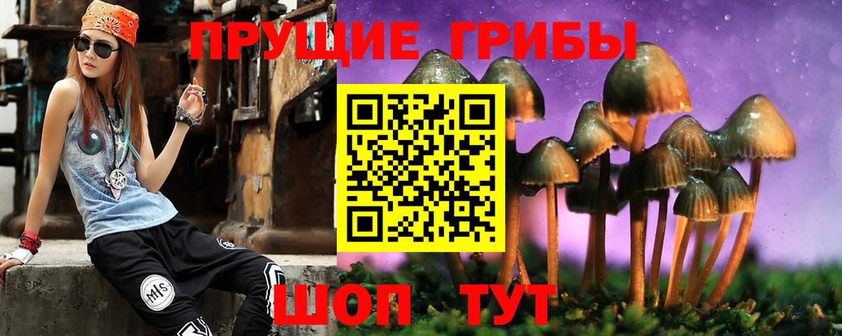 Псилоцибиновые грибы GOLDEN TEACHER  Галлюциногенные грибы Cubensis  Вход с VPN  Мыски 